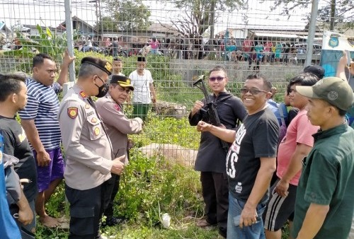 Penyebab Kerbau di Tangerang Ngamuk Bak Aksi Matador, Hingga Berujung Ditembak Polisi