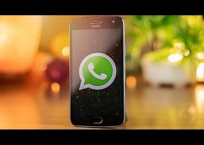 Link GB WhatsApp v17.45 by Alex Mods: Bisa Sembunyikan Tanda Centang dan Status 