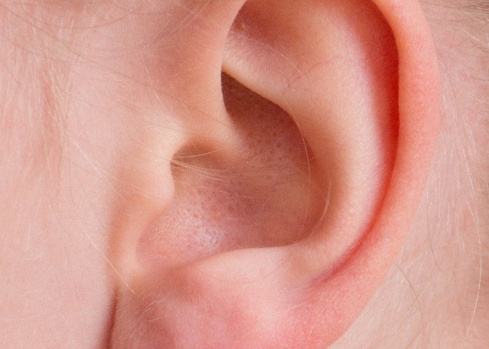 Fungsi Daun Telinga yang Belum Kalian Ketahui dan Tips Perawatannya 
