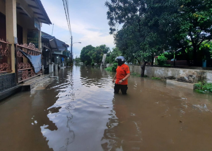 Usai Hujan Intensitas Deras, Sejumlah Wilayah di Bekasi Banjir dan Pohon Tumbang