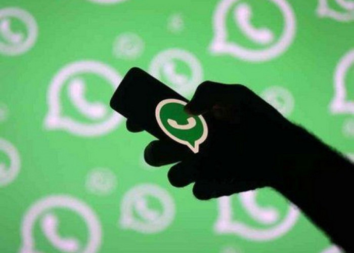 Cara Setting WhatsApp yang Bisa Multiakun Tanpa Download Aplikasi Tambahan