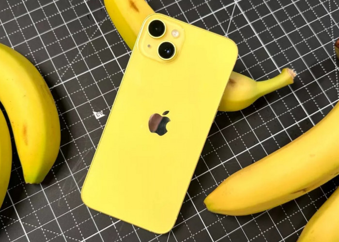 Baru! iPhone 14 dan iPhone 14 Plus Warna Kuning Ada Fitur SOS, Ini Daftar Harga, Spesifikasi dan Cara Belinya