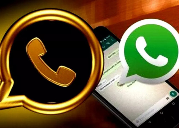 Link Download WhatsApp Gold Apk v10.90F Rilis Juni 2023 Gratis, Kapasitas Cuma 68.8 MB
