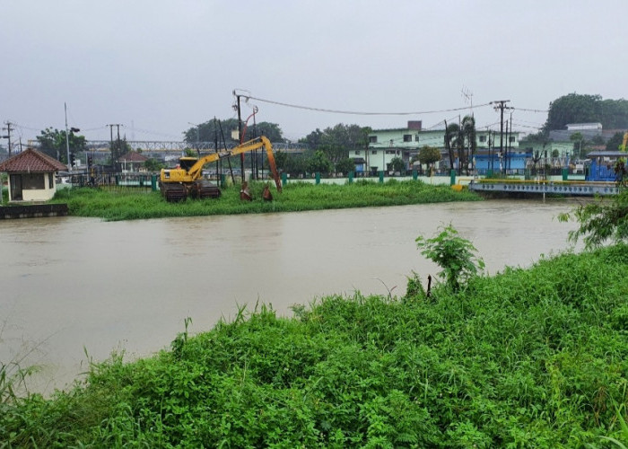 Curah Hujan Tinggi, BPBD Kota Bekasi Peringatkan Masyarakat Waspadai Banjir