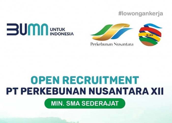 BUMN Buka Lowongan Kerja di PT Perkebunan Nusantara XII, Lulusan SMA Segera Daftar!