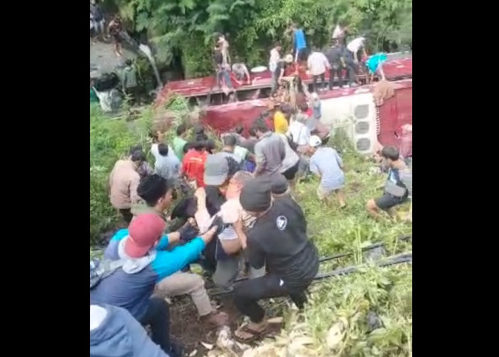 Bus di Guci Masuk Jurang Saat Ditinggal Sopir Mandi: 1 Orang Meninggal, 37 Luka-luka