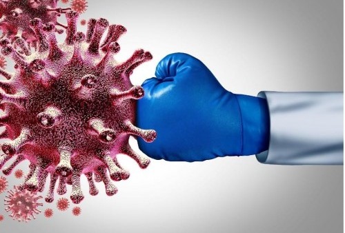 Awas! Muncul Virus Baru Bernama NeoCov, Tingkat Kematian dan Penularannya Sangat Tinggi