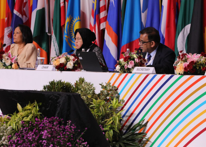Pertemuan Tingkat Tinggi Tentang Penyandang Disabilitas Se Asia Pasifik Lahirkan Jakarta Declaration