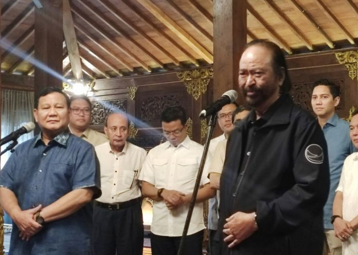 Bahas Soal Koalisi dan Capres, Prabowo Ungkap Hasil Pertemuannya dengan Surya Paloh