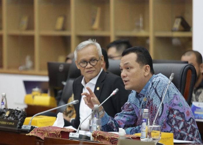 Komisi VI DPR RI Dukung Usulan PMN PLN untuk Program Listrik Desa