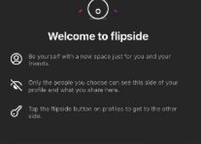 Perpisahan dengan Flipside: Mengapa Fitur Keintiman Instagram Tidak Lagi Tersedia