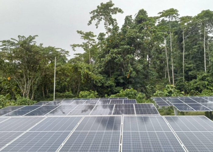 Realisasikan PMN, PLN Bangun PLTS Battery Storage, 2 Kampung di Kabupaten Sarmi, Papua Kini Terang Benderang