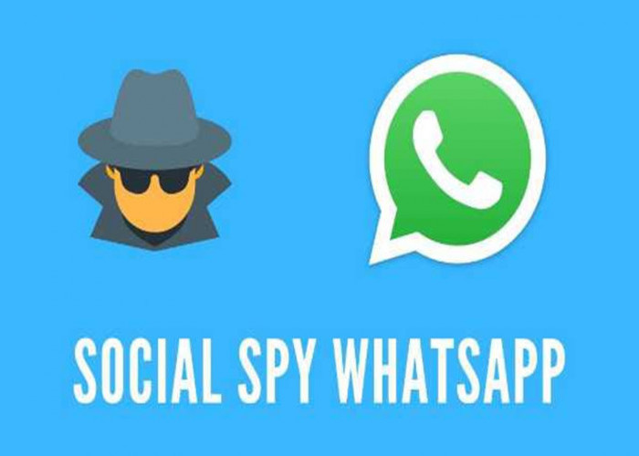 Social Spy WhatsApp Pro Apk Download, Tools Tracking Anti Selingkuh 