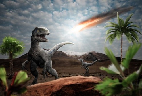 Mengapa Kecoa Selamat dari Tubrukan Meteor 65 Juta Tahun Lalu, sementara Dinosaurus dan Hewan Lainnya Punah