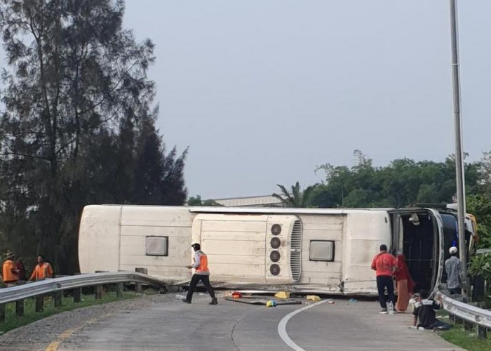 Kecelakaan Maut Bus PO Bhinneka di Jalan Tol Jakarta-Cikampek, 6 Meninggal Dunia
