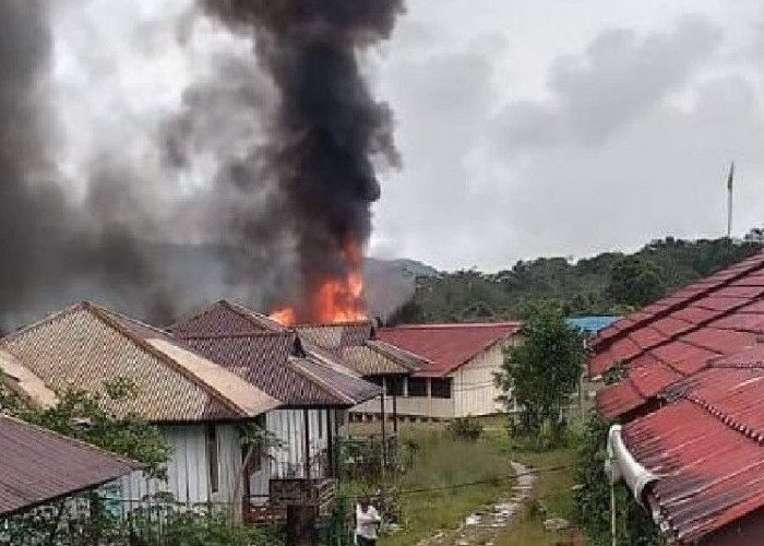 KSB Papua Pimpinan Nelson Mimin Bakar Sekolah dan Tembak Pesawat