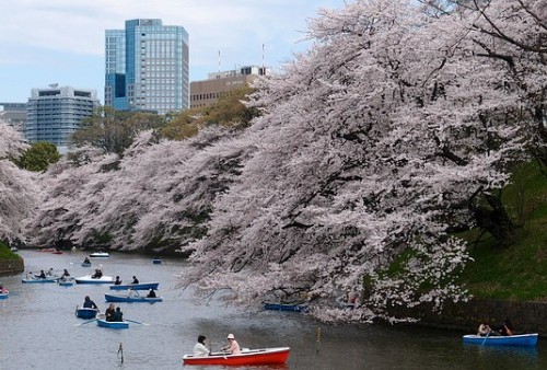 Mau Liburan ke Jepang? Bulan Depan Pembatasan Kunjungan Turis Mancanegara Mulai Kendor