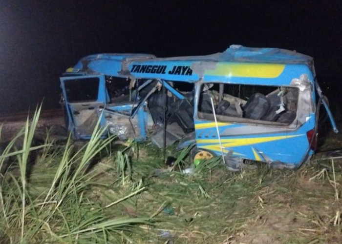 Tragis, Minibus Tertabrak Kereta Api di Lumajang, 11 Orang Meninggal