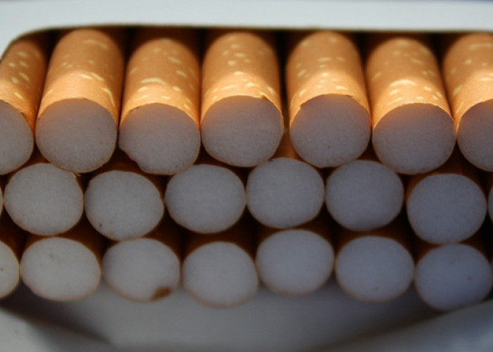 Bea Cukai Pekan Baru Amankan 450 Ribu Batang Rokok Ilegal 