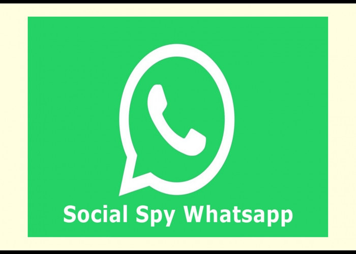 Cara Login WA Pasangan Pakai Social Spy WhatsApp