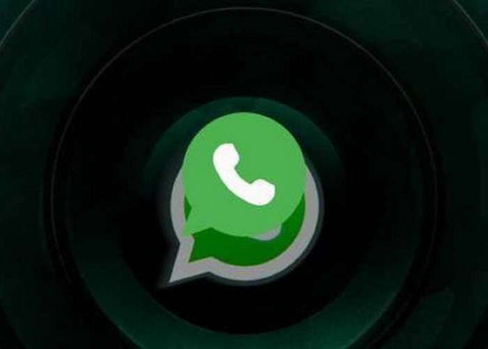 Link GB WhatsApp Pro v17.22 Terbaru Juli 2023, Kapasitas Download 62.2 MB for Android Gratis