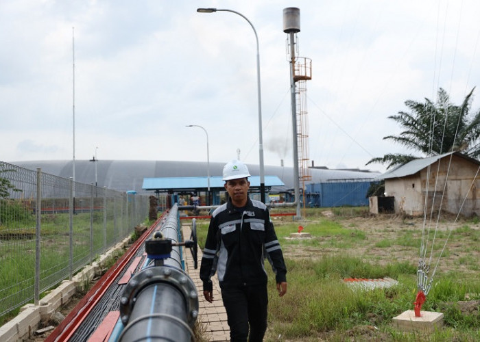 Telah Diuji Coba PLN, Pembangkit Tenaga Listrik Biogas di Riau Siap Suplai Energi Bersih