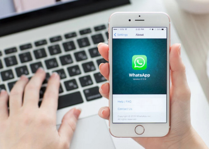 Coba Server Whatsapp Proxi, Bicara Bebas Lewat Mediator