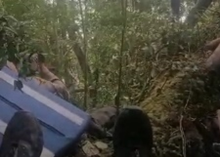 Tim SAR Gagal Evakuasi Kapolda Jambi dan Rombongan dari Bukit Tamiai 