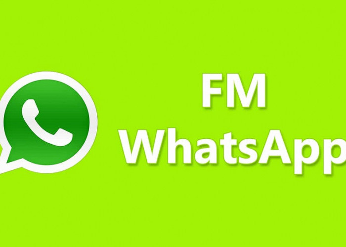 Download FM WhatsApp Terbaru 2023, Ini 23 Fitur Tercanggih