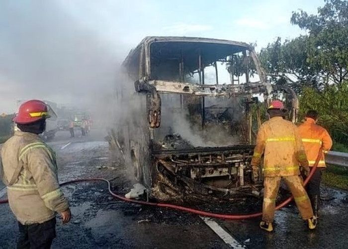 Bus Pahala Kencana Terbakar di Tol Jombang, 43 Penumpang Tujuan Denpasar Bali Selamat