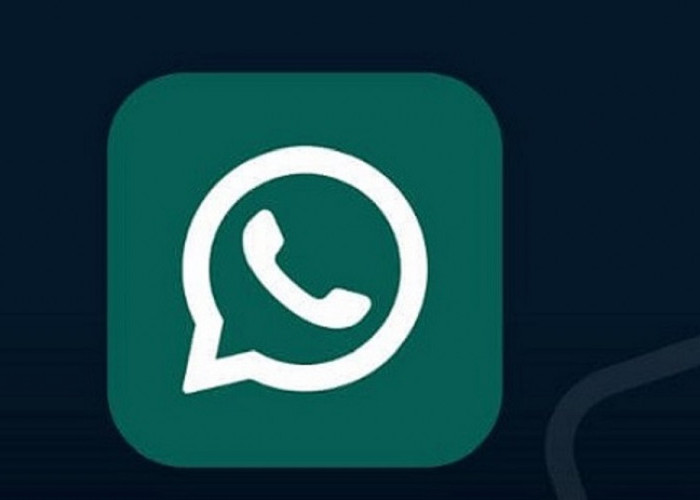 7 Kode Proxy WhatsApp dan Cara Settingnya, Bica Chat WA Tanpa Kuota Internet