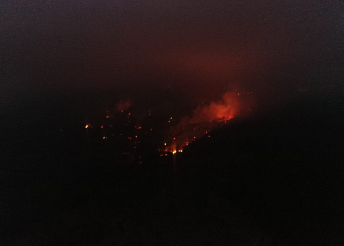 Kebakaran Lahan Gunung Merbabu, Warga Dusun Ngaduman Dievakuasi