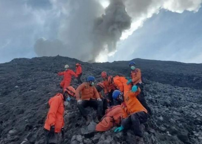Gunung Marapi Erupsi Tewaskan 23 Pendaki, Polda Sumbar Periksa 2 Pegawai BKSDA 