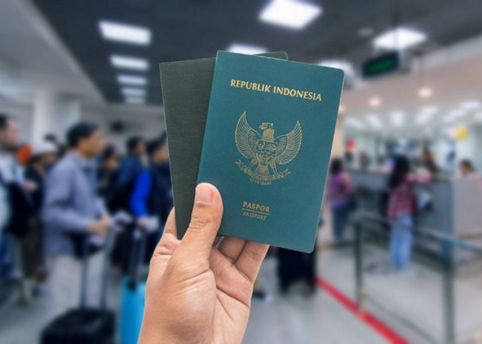 Cara Mudah Bikin Paspor Satu Hari Jadi, Tak Perlu Datang ke Imigrasi, Cuma Lewat Aplikasi Ini Beres!