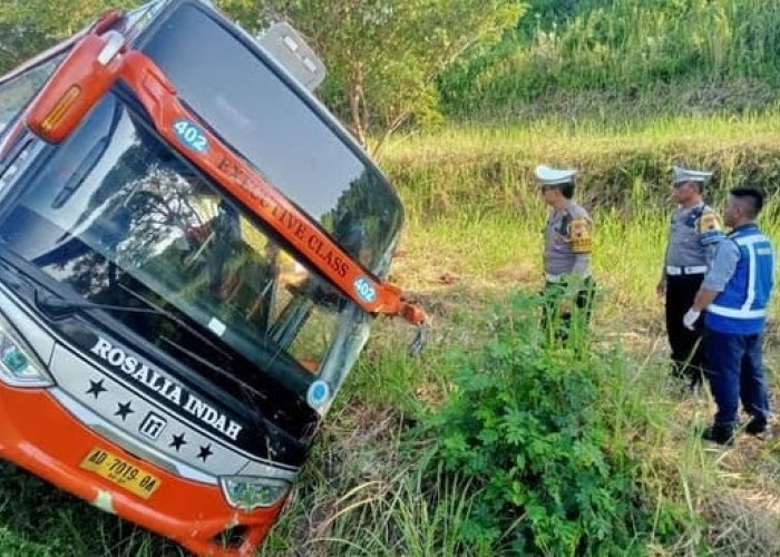 Buntut Kecelakaan di Tol Batang Tewaskan 7 Penumpang, Polisi Akan Periksa Pengelola Bus Rosalia Indah 