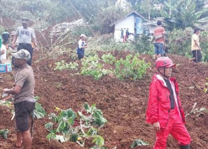 Kerahkan Personel, PMI Bantu Warga Terdampak Tanah Longsor di Cibadak Sukabumi