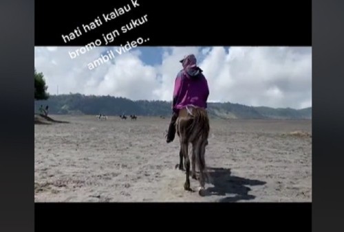 Viral! Videokan Kuda, Wisatawan Gunung Bromo Ini Malah Diminta Bayar Rp50 ribu