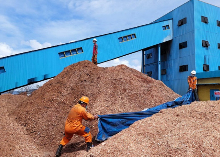 PLN Berhasil Ganti 75 Persen Batu Bara dengan Biomassa di PLTU Bolok NTT