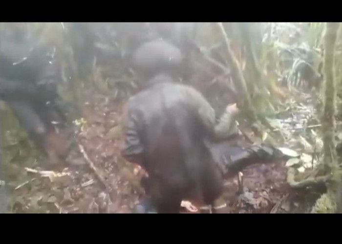 Sederet Fakta Video KKB Papua Mutilasi Anggota Brimob hingga Viral di Media Sosial 