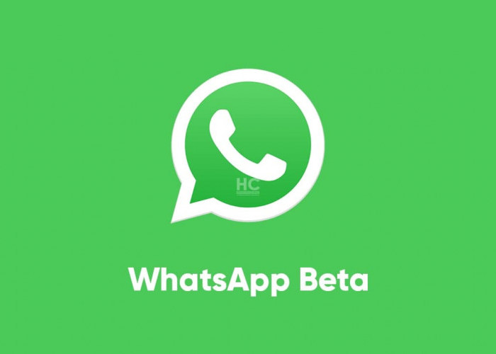 Link Terbaru GB WhatsApp Beta APK di Bulan Agustus, Banyak  Fitur-Fitur Baru!