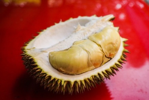 Kabar Terbaru! Durian Langka Jenis Karantongan Ditemukan di Hutan Sumatera Barat