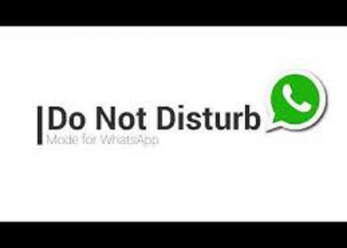 Download GB WhatsApp Pro Apk 2023 Anti Banned: Bisa Hidupkan Mode Jangan Ganggu