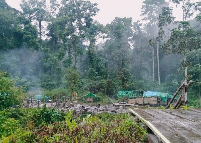 Camp Penambangan Pegunungan Bintang Papua Diserang, 1 Penambang Meninggal Dunia