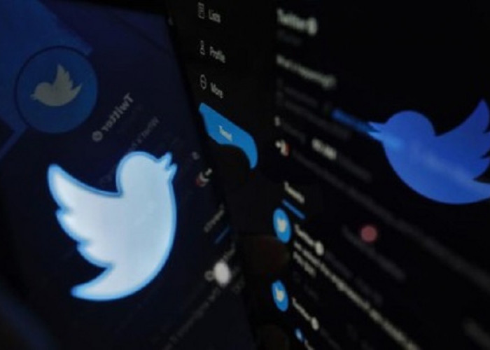 Aneh bin Ajaib, Kata Kunci Mega Hilang dari Search Twitter
