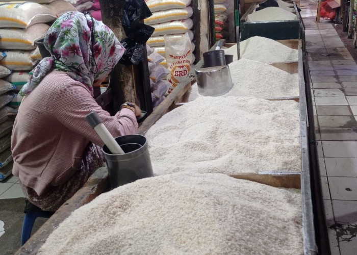 Harga Beras Mulai Turun di Sejumlah Pasar Jakarta