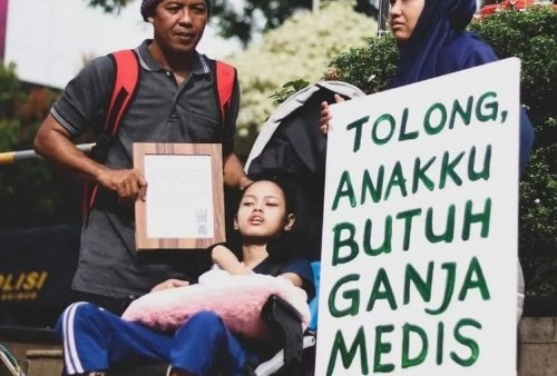 Usulan Penggunaan Ganja Medis di Indonesia, IDI Bilang Begini