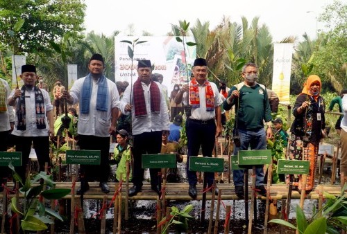 Rayakan HUT DKI Jakarta, Apical Group dan Pemprov DKI Tanam 3000 Mangrove