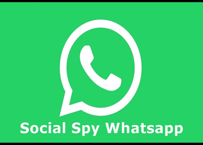 Social Spy Whatsapp 2023, Intip dan Pantau Chat Pacar Dengan Mudah, Link Download dan Cara Log In Ada Disini!
