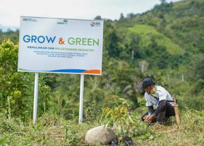 Bangkitkan Harapan Petani di Lahan Kritis, BRI Menanam Grow & Green Salurkan Bantuan Tanaman Produktif