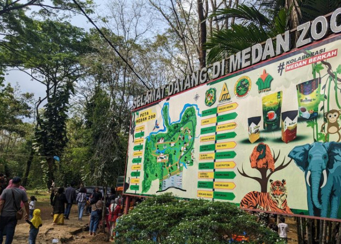 KLHK Soroti Kasus Medan Zoo, Wali Kota Bobby Dorong RANS Entertainment Investasi